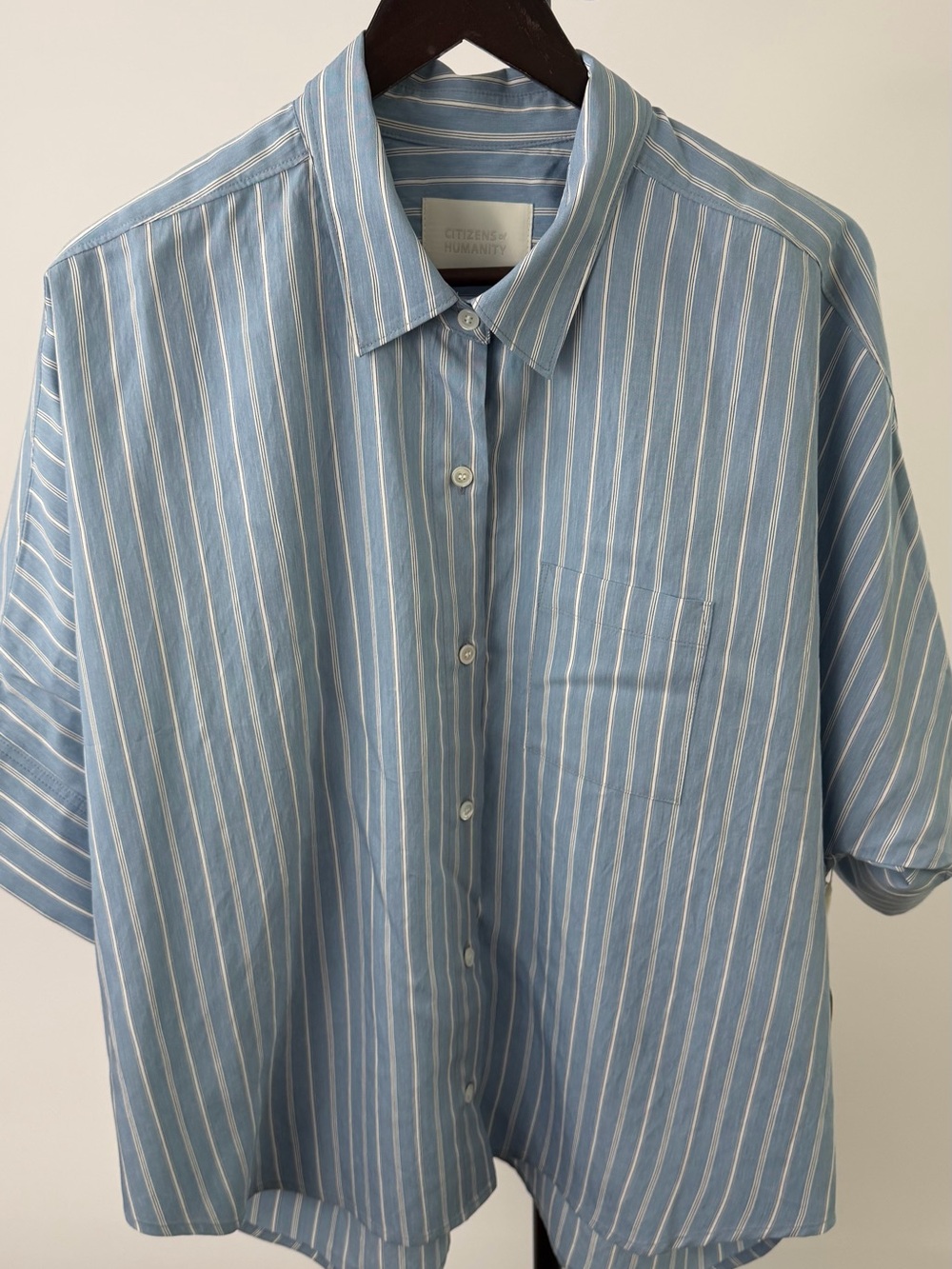 Citizens Of Humanity Blue & White Vertical Stripe Button-Down Shirt